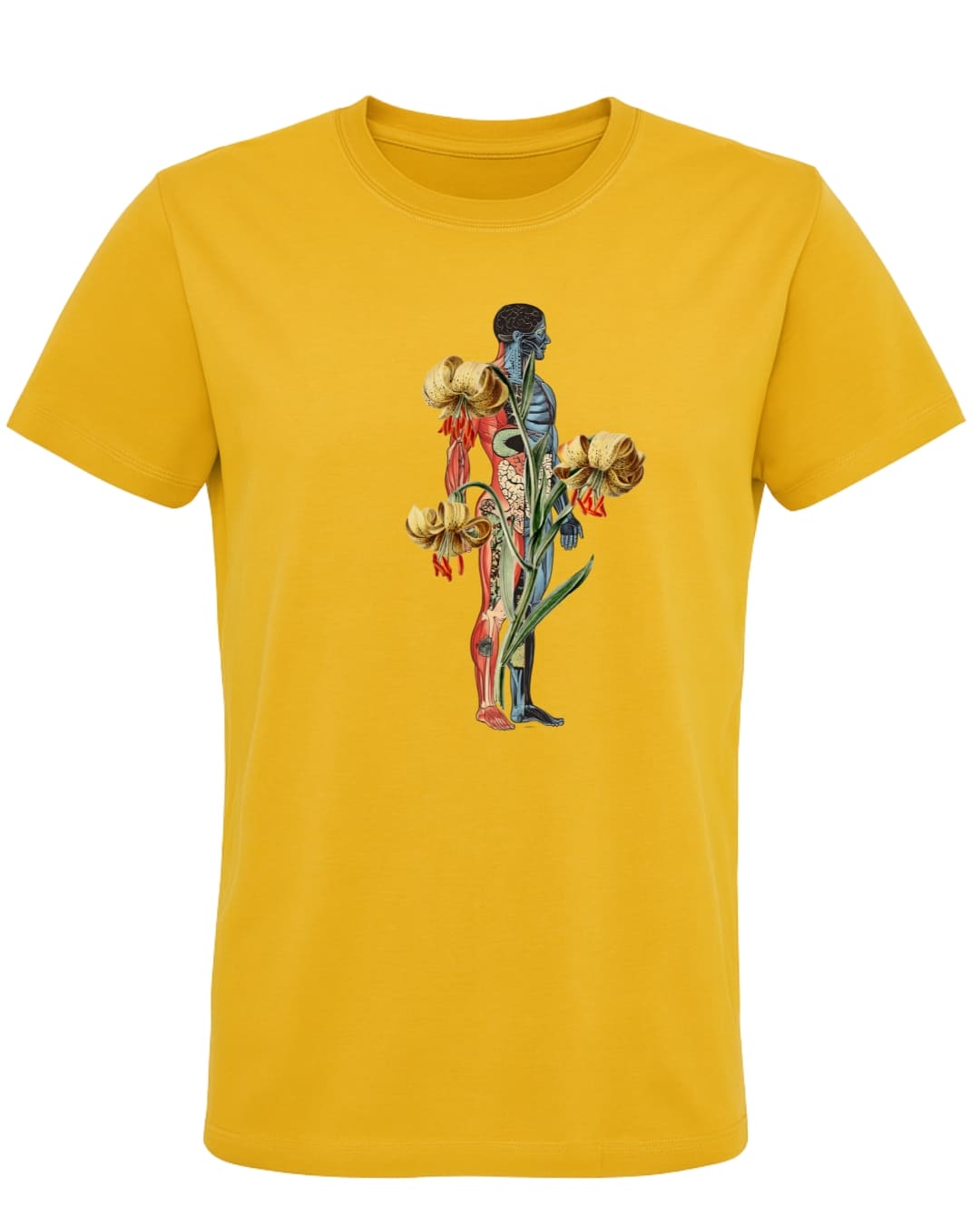 Camiseta algodón orgánico Cuerpo & naturaleza - Imagen 6