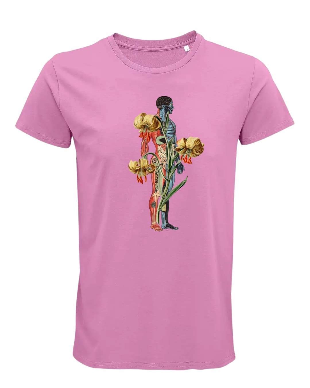 Camiseta algodón orgánico Cuerpo & naturaleza - Imagen 7