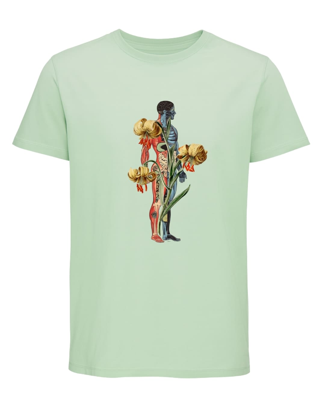 Camiseta algodón orgánico Cuerpo & naturaleza - Imagen 3