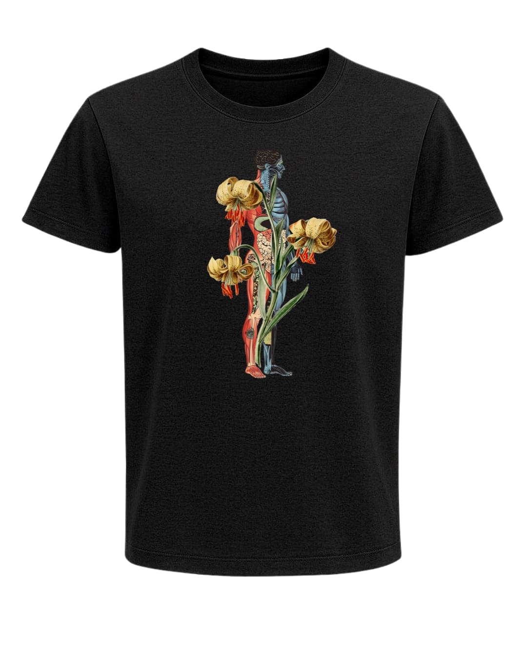 Camiseta algodón orgánico Cuerpo & naturaleza - Imagen 5